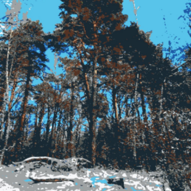 Winter cover art