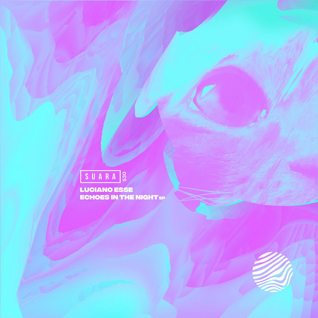 Echoes in the Night - EP cover art