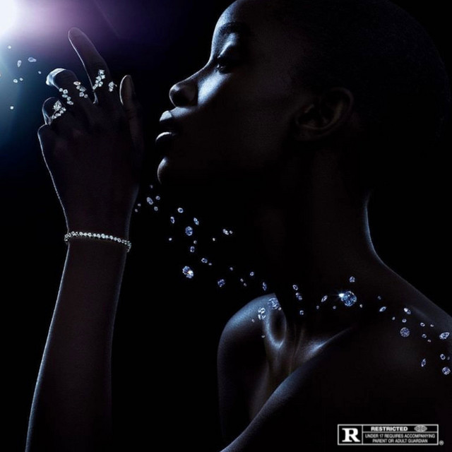 VVS cover art
