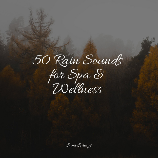 50 Rain Sounds for Spa & Wellness - Album by Relajantes sonidos de ...