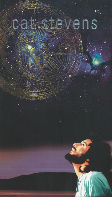 Wild World