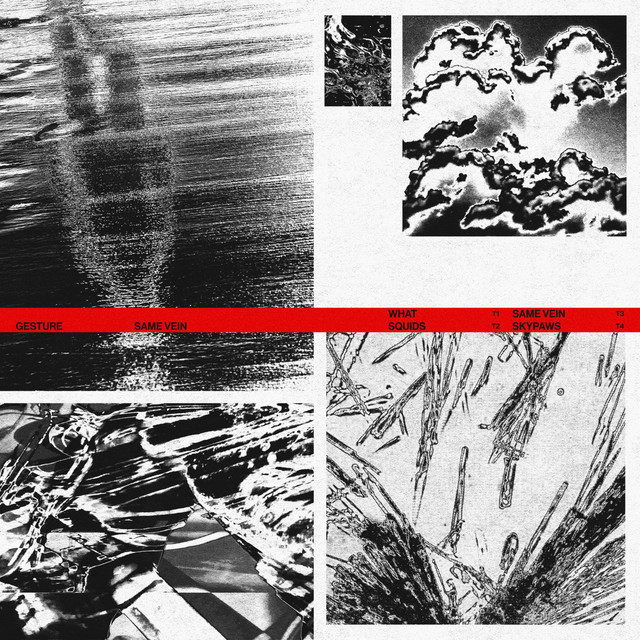 Same Vein cover art