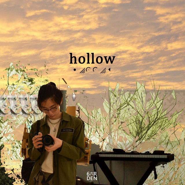 hollow cover art