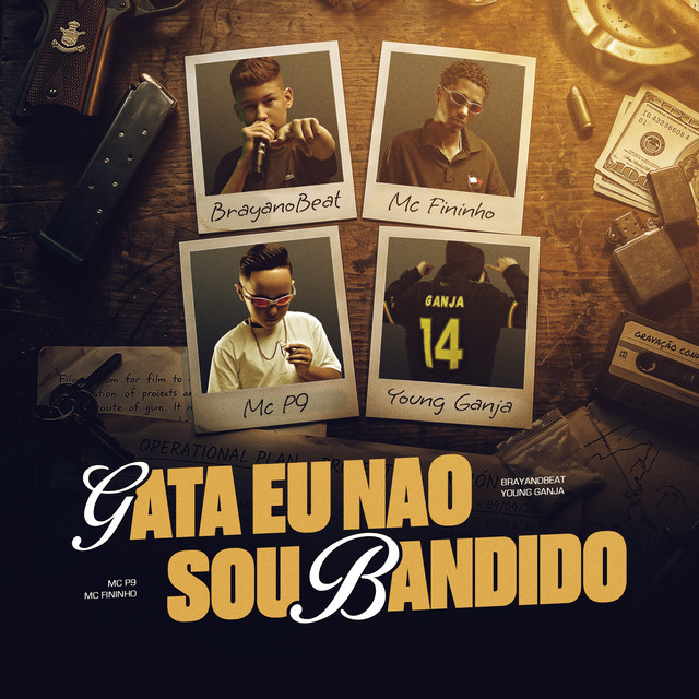 Gata Eu Não Sou Bandido