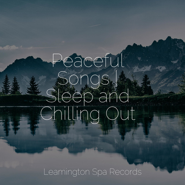 Peaceful Songs | Sleep and Chilling Out - Album by Study Power | Spotify