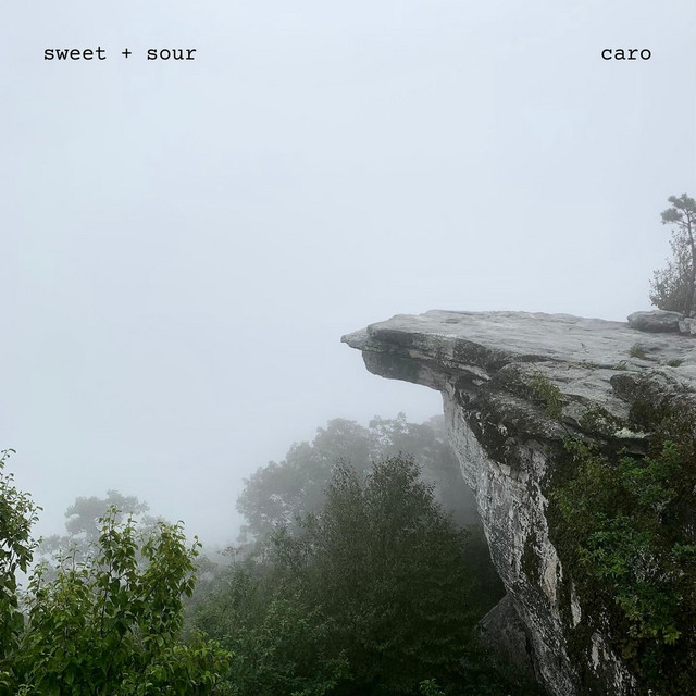 sweet + sour cover art