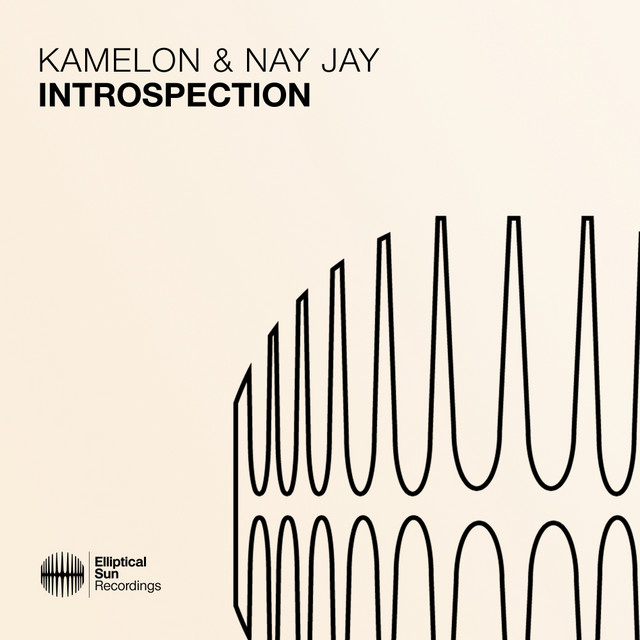 Introspection - Extended Mix album art