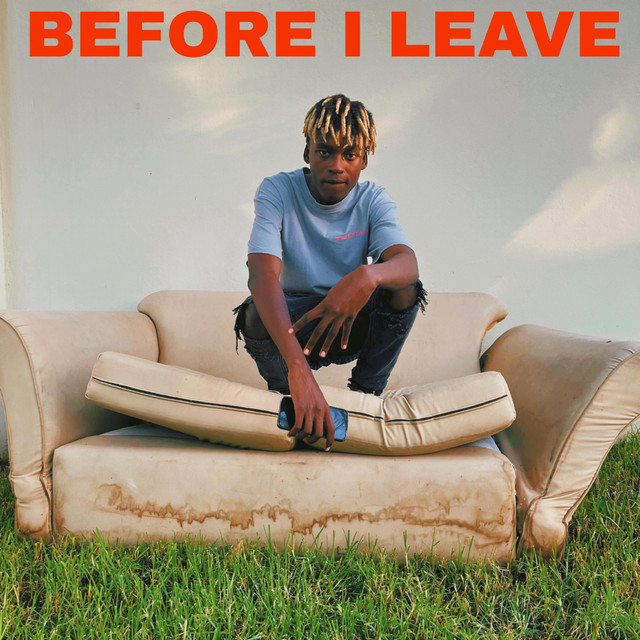 BEFORE I LEAVE cover art