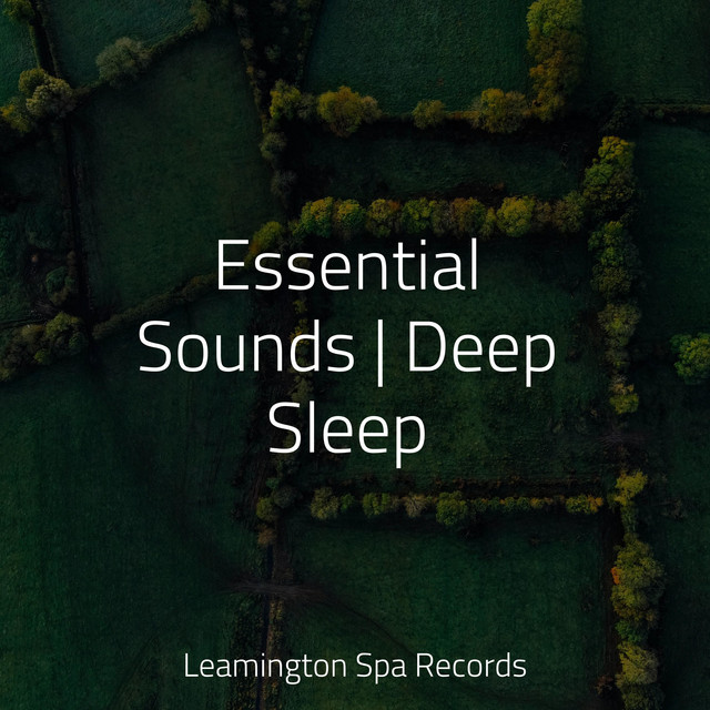 Essential Sounds | Deep Sleep - Album by Nature Sound Series | Spotify