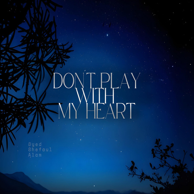 Don't Play With My Heart album art