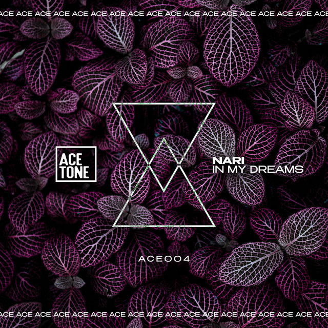 In My Dreams album art