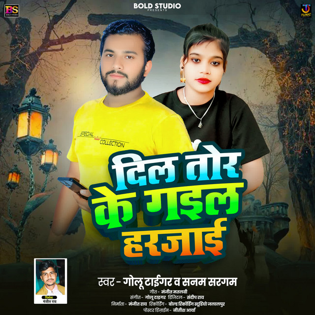 Dil Tor Ke Gayil Harjai