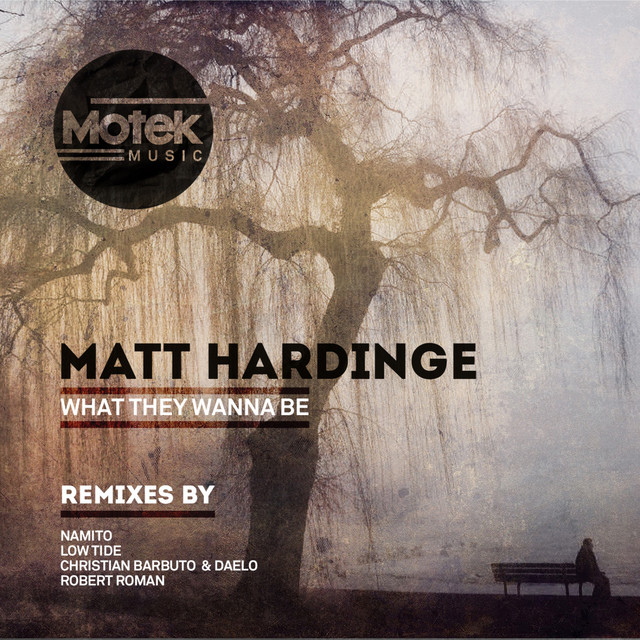 What They Wanna Be - Christian Barbuto + Daelo Remix cover art