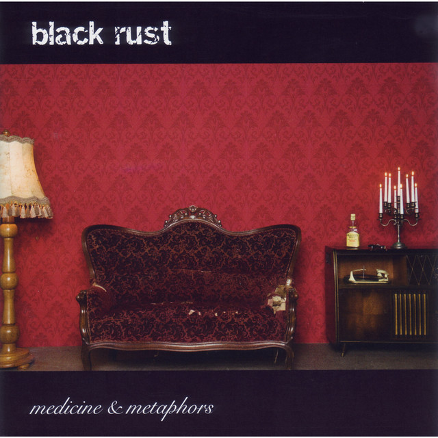 Medicine & Metaphors cover