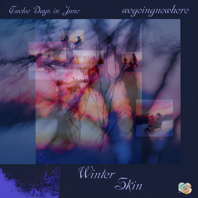 Обкладинка: Winter Skin — Twelve Days in June