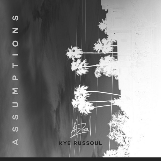 Assumptions cover art