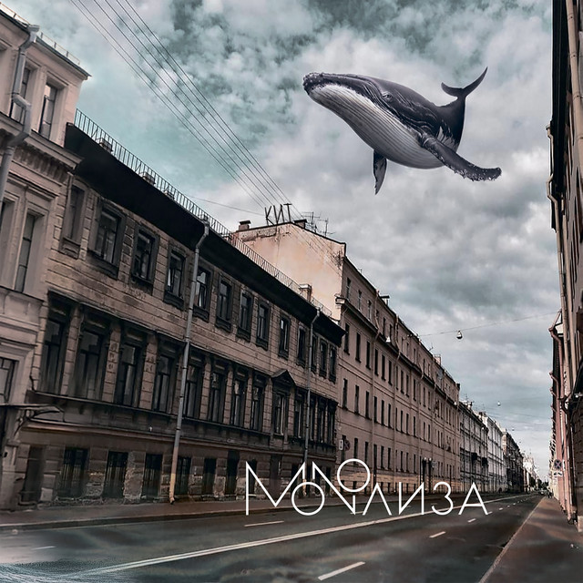Кит cover