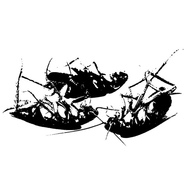 Dream, Dwell, Die cover art