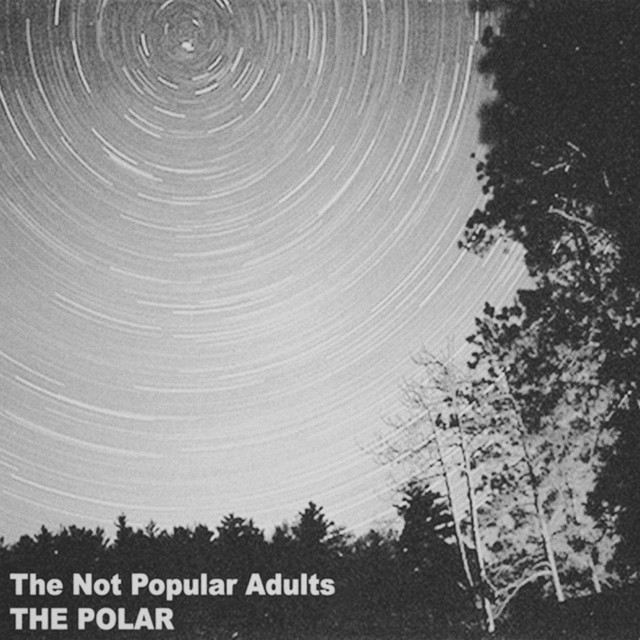Обкладинка: The Polar — The Not Popular Adults
