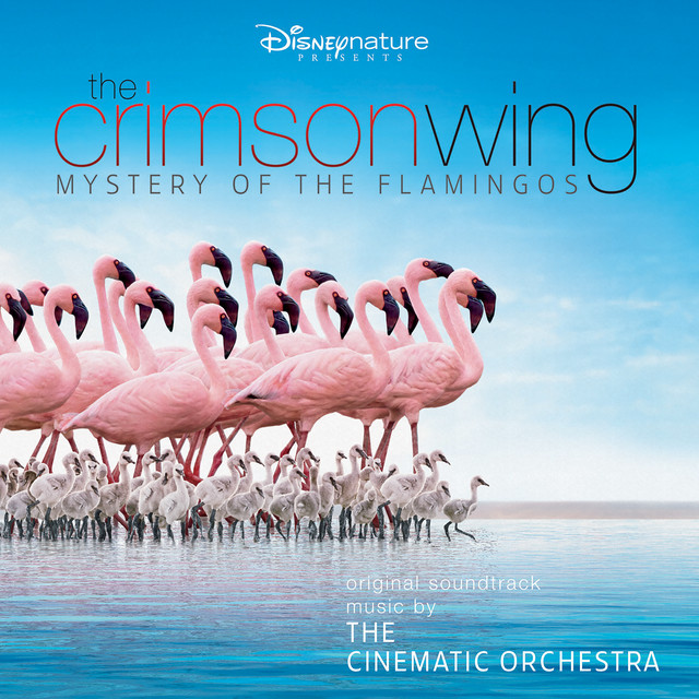 London Metropolitan Orchestra image