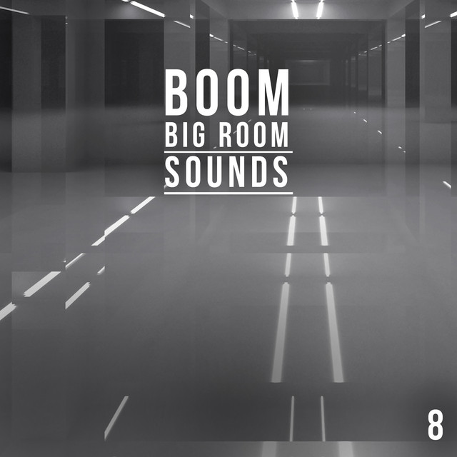 Boom, Vol. 8 - Big Room Sounds cover art