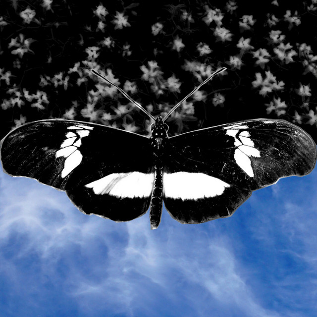Το Ξεπέρασμα cover art