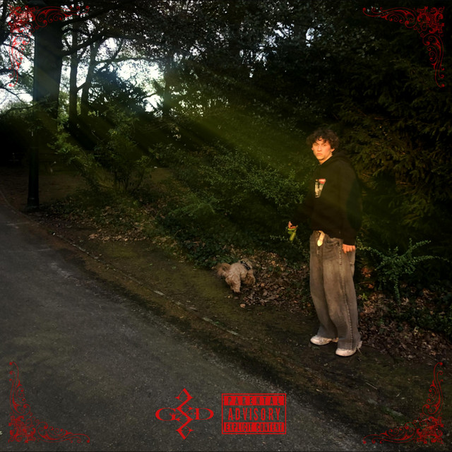 TRANEN VAN EEN BITCH. cover art