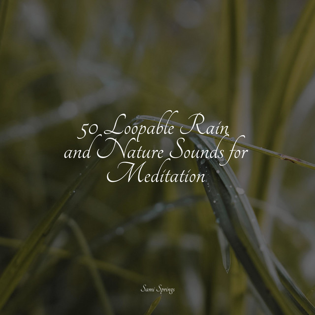 50 Loopable Rain and Nature Sounds for Meditation - Album by Sleepy ...