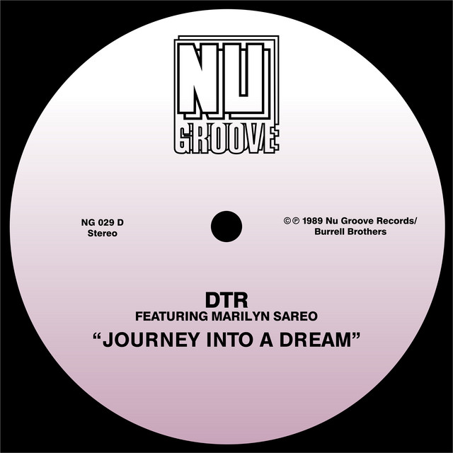 Journey Into A Dream cover