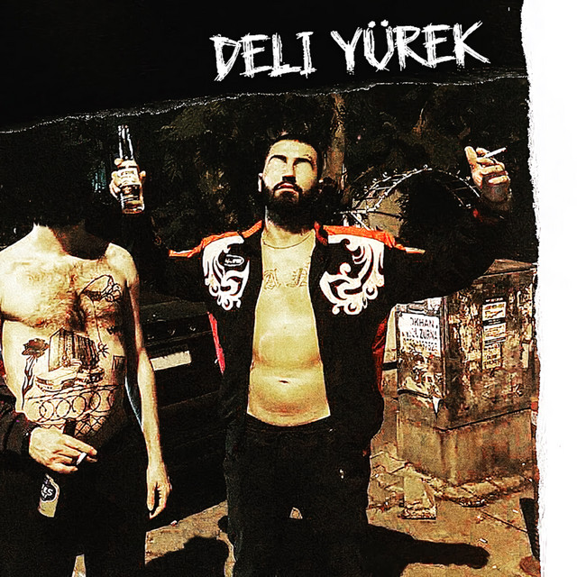 Deli Yürek cover art