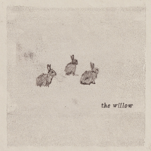 the willow cover art