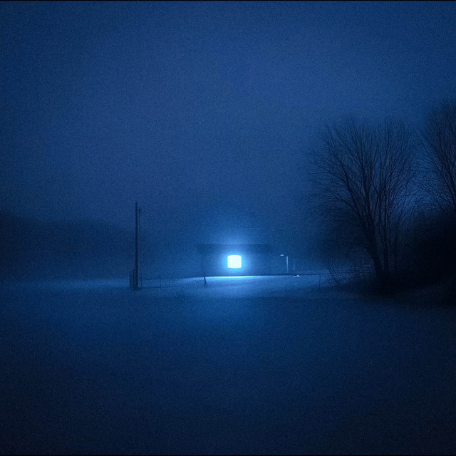 vanish in the cold