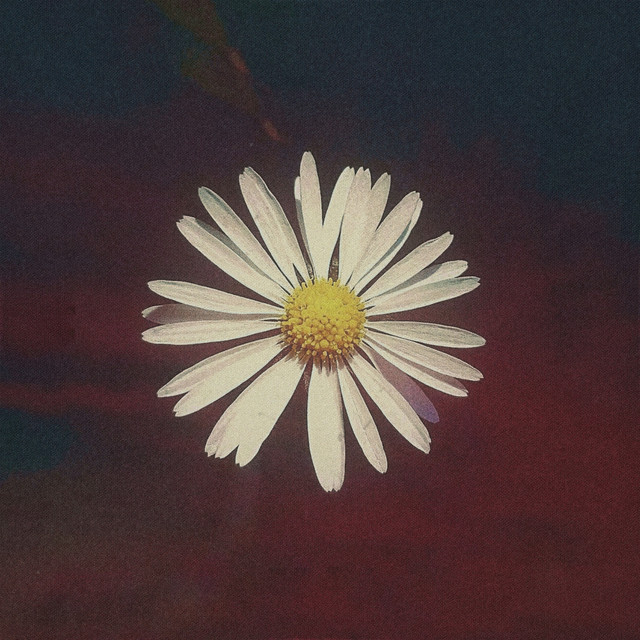 saveyourself. cover art