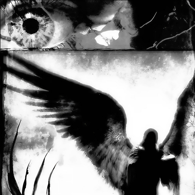 Evade cover art