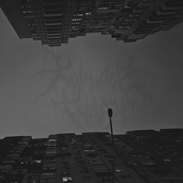 Обкладинка: Endlessness — Koridor v Tuman