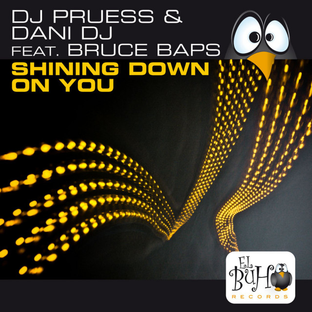 Shining Down On You cover