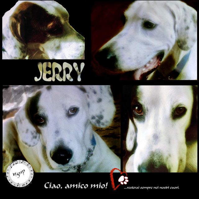 SteP – Jerry
