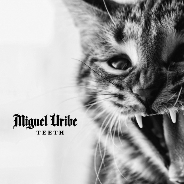 teeth