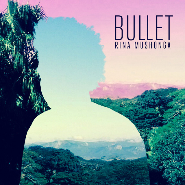 Bullet cover art
