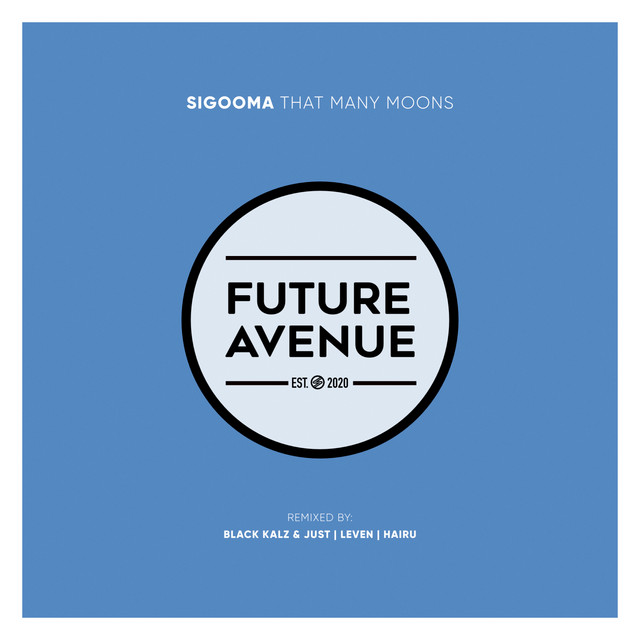 That Many Moons (Remixes) artwork