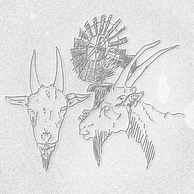 Weatherman cover art