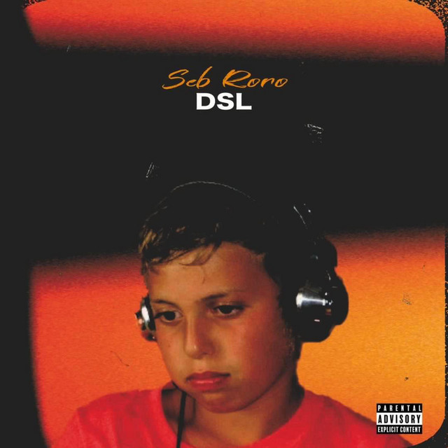 DSL cover art