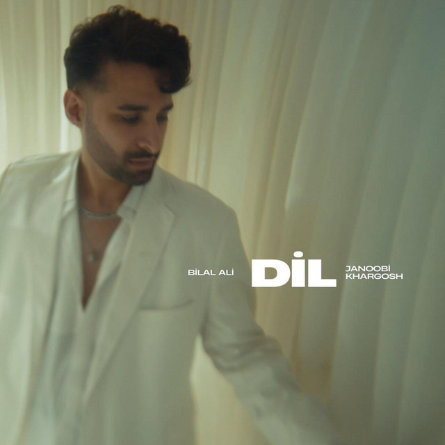 Dil cover