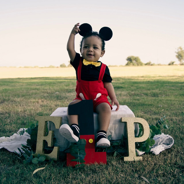 Tha Dump Apprentice cover