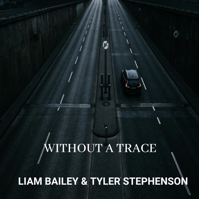 Without A Trace cover art
