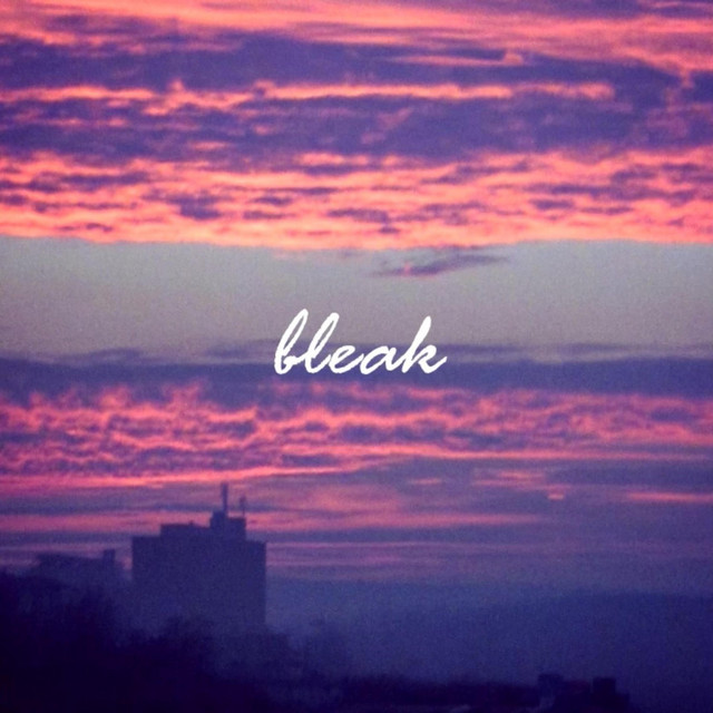 Bleak cover art
