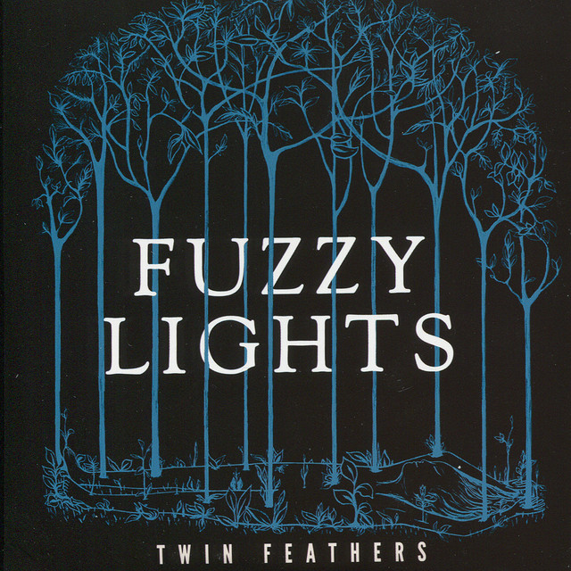 Twin Feathers cover art