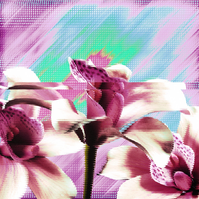 Memory cover art