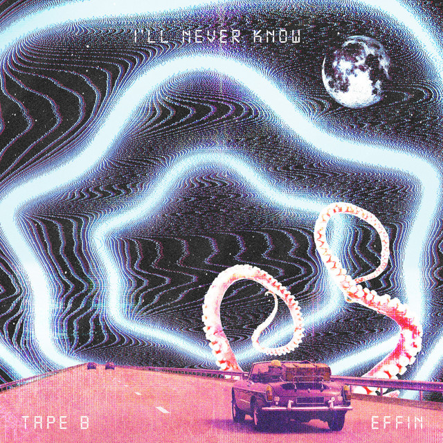 I'll Never Know album image