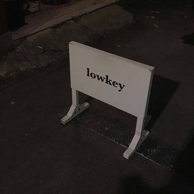 lowkey cover art